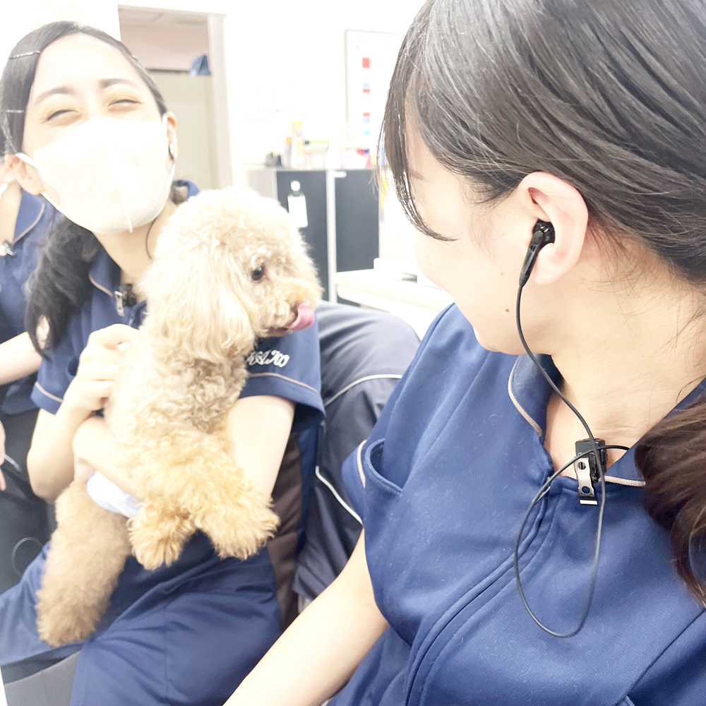 ☆かわいいお客様☆